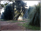 foto Parco di Villa Borghese